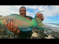 throw net hawaii fishing big uhu big kala hawaii throw net best throw net fishing