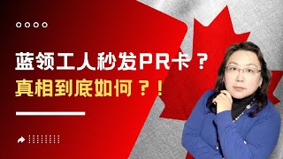 加拿大移民留学2023 ｜ “蓝领工人可以秒发PR卡“？ ！这么耸动的新闻标题我也是无语了，真相在此，大家请理智分析～