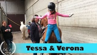 Tessa op de manege * Hart voor Paarden * #paard