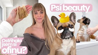 VLOG | Chewie beauty 🐶! Dny se psem. 🎀