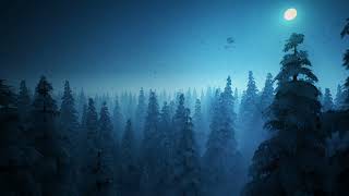 Snow Storm Sounds for a Great Nights Rest. #snowstormsoundsforsleeping