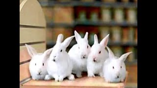 Toys R Us Easter Sale 2004 Easter TV Commercial HD
