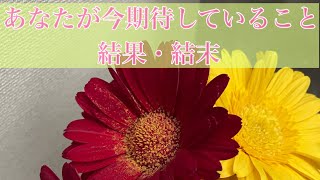 【タロット】今あなたが期待している事への結果と結末【オラクル】