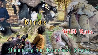 Karenni village life 2025 | Wild Rats and Birds in Karenni State