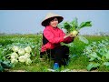 Harvest Vegetable Garden, Chicken Eggs Bring to Market for Sale - Duck and Pig Care | Free New Life