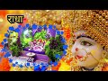 प्रिया प्रीतम से मिलवा देने वाला सुंदर राधा नाम संकीर्तन part 2 premanand ji maharaj vrindavan