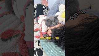 如何唤醒一只不爱搭理你的猫！ #猫咪的迷惑行为 #cat #精神状态良好 #pets #萌宠