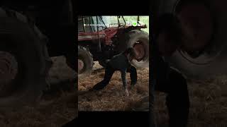 Chị diễn xuất chút cho vui mà cưng tưởng chị yếu? #VieON #CoDungHongThoatKhoiToi