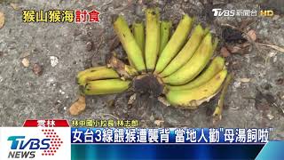 女台3線餵猴遭襲背 當地人勸\