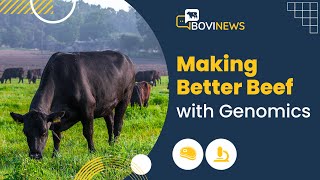 Webinar: Making Better Beef with Genomics