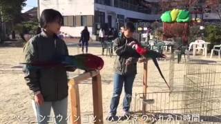 【NCA動物】　ふれあい動物園　（動物園・動物飼育専攻）