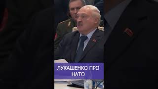 Лукашенко про НАТО: Не надо сразу к НАТО ломиться! Надо потихоньку их выдёргивать! #shorts