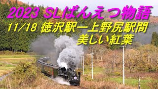 紅葉のばんえつ物語 2023年 空撮で見る沿線 11月18日 徳沢駅ー上野尻駅間