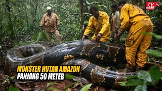 Shocking the World!! Giant Snake as Big as a Tree Captured in the Interior of the Amazon Forest