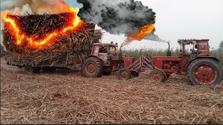 Belarus tractor🚜 Full Load Suggrance Trailer || Tractor🚜 || Tractor Video🎥 || Pendu life❤