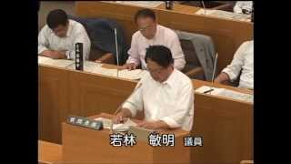 伊那市議会　平成２５年６月定例会（一般質問３日目）　若林　敏明　議員