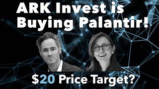 ARK Invest Just Bought Palantir Stock! | $20+ Price Target? | PLTR Stock: Explained!