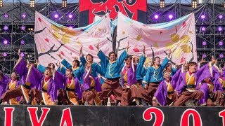 [4K] 四天王寺大学YOSAKOIソーラン部仏喜踊　こいや祭り 2019　1日目 (中央)