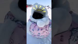 我和你们说，带一只黑猫去滑雪，可舒服了...