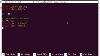 Perl Assignment Operators Example