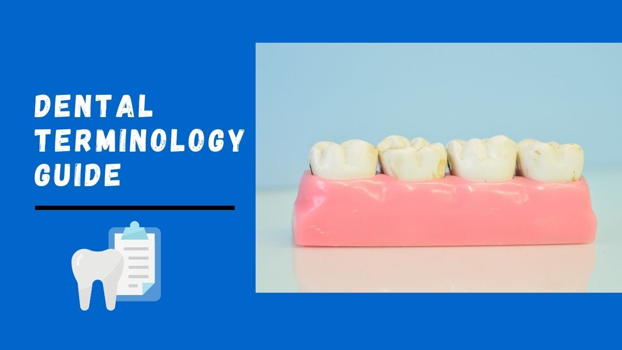 Basic Guide Of Dental Terminologies | Landmarks On Tooth Surfaces ...