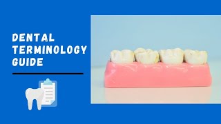 Basic Guide of Dental Terminologies | Landmarks on Tooth Surfaces | Dental Anatomy Basic Terminology
