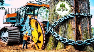 Extreme Dangerous Fastest Big Chainsaw Cutting Tree Machines | Monster Stump Removal Excavator #tech