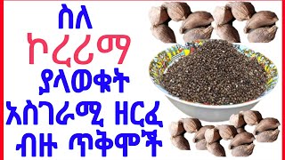 የኮረሪማ አስገራሚ የጤና ጥቅሞች | የአለማችን ውዱ ቅመም