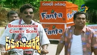 Samarasimha Reddy Telugu Movie | Brahmanandam Comedy Scene | Balakrishna | Simran | ETV Cinema