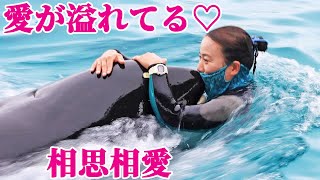 鴨川シーワールドのシャチとトレーナーさんラブラブすぎる!! KamogawaSeaWorld Orca