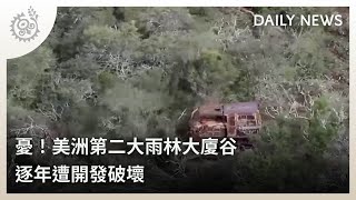 憂！美洲第二大雨林大廈谷 逐年遭開發破壞｜每日熱點新聞｜原住民族電視台