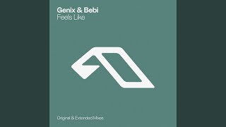 Feels Like (Extended Mix)