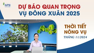 APN - DỰ BÁO QUAN TRỌNG VỤ ĐÔNG XUÂN 2025 | THỜI TIẾT NÔNG VỤ THÁNG 11/2024