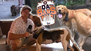 The Best Dog Bar in Chicago