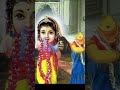 radha ashtami song status 2024 short video