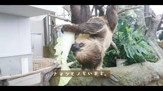 ちいさな動物園に行く休日。