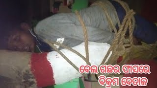 ବେଲ ଗଛର ଫାସରେ ବିକ୍ରମ ବେତାଳ Viral Video @Mu PratapKumar