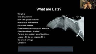 Bats of Michigan