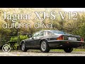 Jaguar XJ-S V12 manual hill climb autumn drive. Amazing sound!