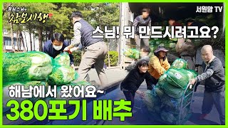 [보시행]해남에서 온 380포기 배추로 '배추 물김치 담그기'  |서원암|