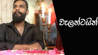 වැලන්ටයින් | Valentine - Ratta