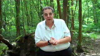 Software Design and Development - P1 Overview