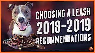Choosing a Dog Leash: Best leashes of 2018-2019