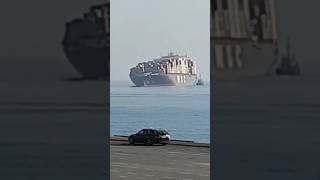 msc container ship rolling 🚢🌊 || #shorts