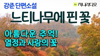 30년 전 열정과 사랑으로 교단의 아름다운 추억을 간직한 그녀에게, 불명예 퇴직의 전화위복이 되어 행복한 고민에 빠지는데~/ 강준 '느티나무의 꽃'/ 지니라디오/ 오디오북