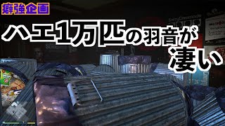 ハエを1万匹集めたら凄いハエの音がする説【GTA5実況】4K