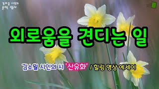 [힐링 문학] 김소월 시인의 시 ‘산유화(山有花)’와 함께하는 영상 에세이 / 외로움을 견디는 일 / 공감 위로 성원 / 꽃