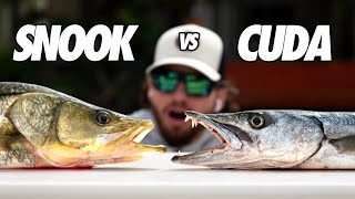 Trophy VS Trash Fish | Shocking Results! (Catch Clean Cook Snook/Barracuda)