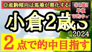 【小倉2歳ステークス2024】◎産駒成績が馬場が悪化すると良くなるあの馬の好勝負に期待！