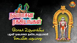 நவபாசன பழனி முருகன் சிலையின்  ரகசிய  வரலாறு /ஆன்மிக ரகசியம் /aanmiga  rakasiyam